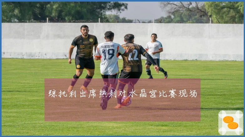 琼托利出席热刺对水晶宫比赛现场