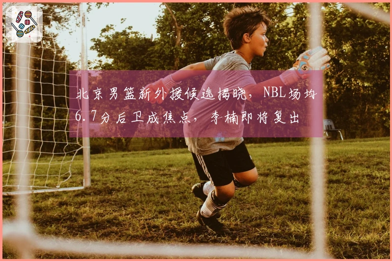 北京男篮新外援候选揭晓，NBL场均6.7分后卫成焦点，李楠即将复出