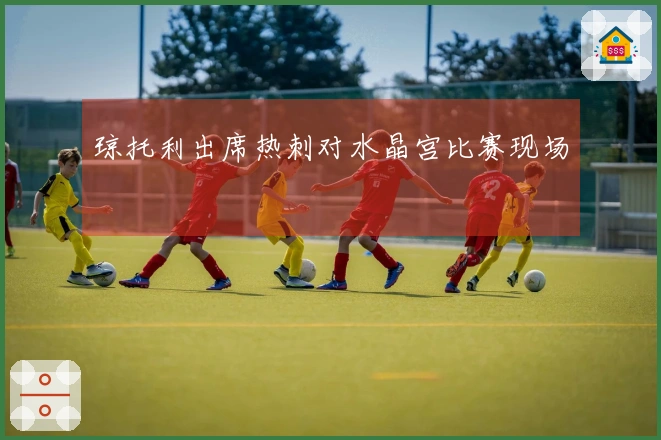 琼托利出席热刺对水晶宫比赛现场